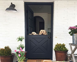 Design Gallery - Home improvement store that sells quality MDF and wood Moulding