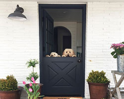 Door Replacement - Home improvement store that sells quality MDF and wood Moulding